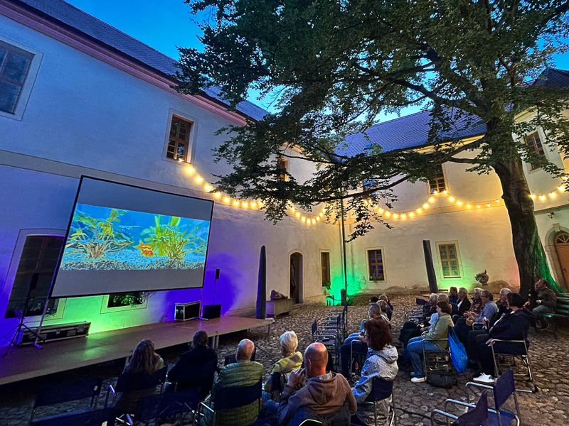 Das Museum des Landkreises Oberspreewald-Lausitz lädt beim Freiluftkino im Schlosshof zum Wiedersehen mit unvergessenen Retro-Filmen ein.